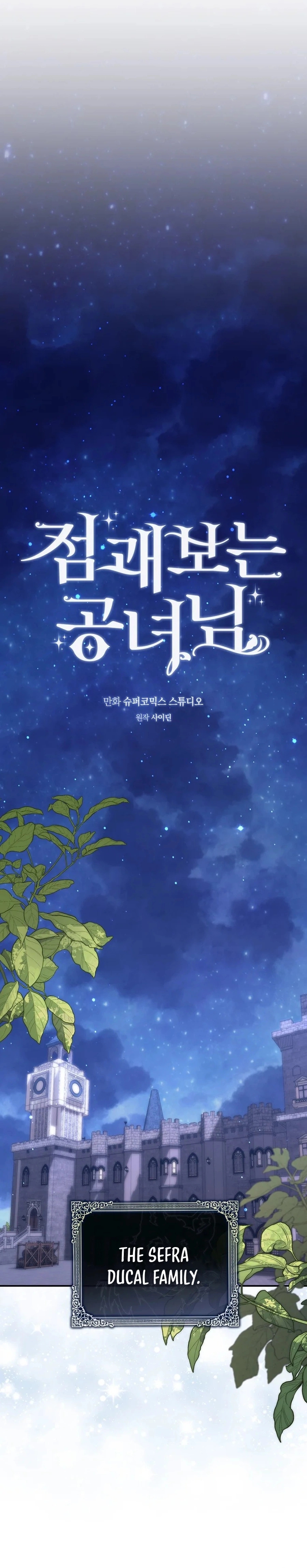 Read A Fortune Telling Princess Manga Online
