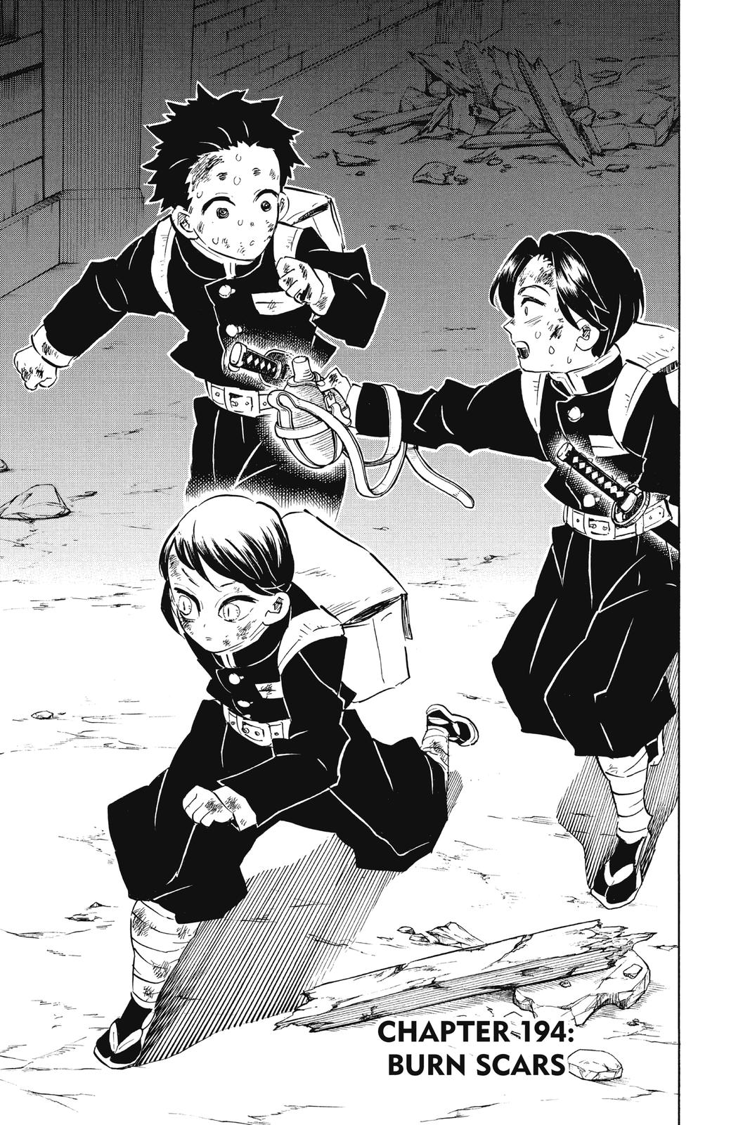 Read Demon Slayer Manga Online