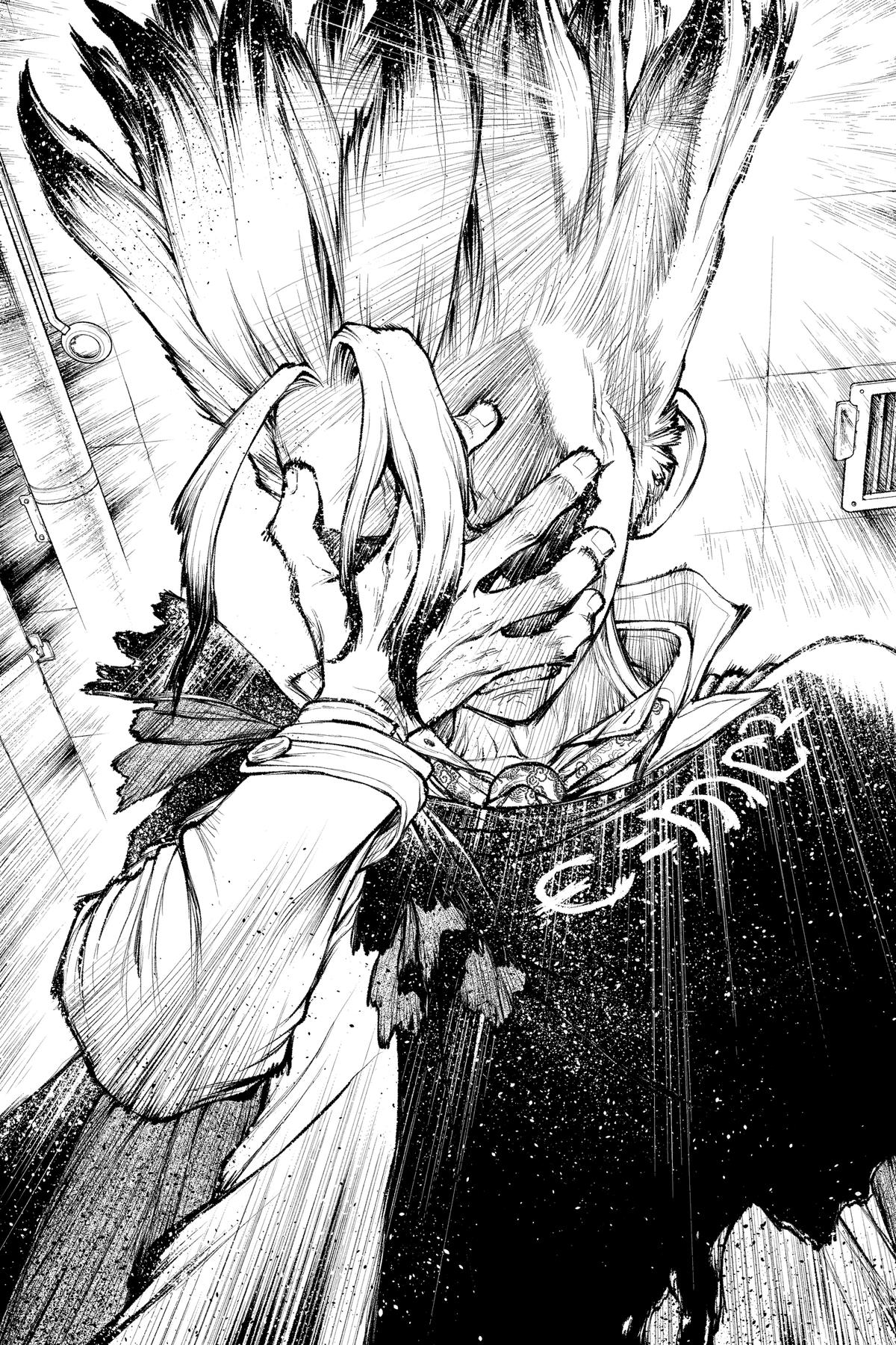 Read Dr STONE Manga Online