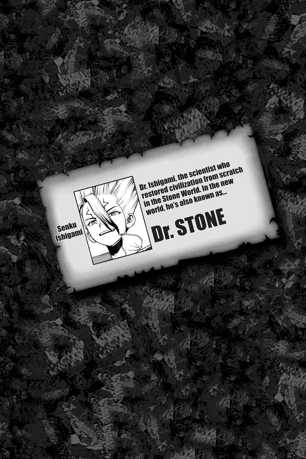 Read Dr STONE Manga Online