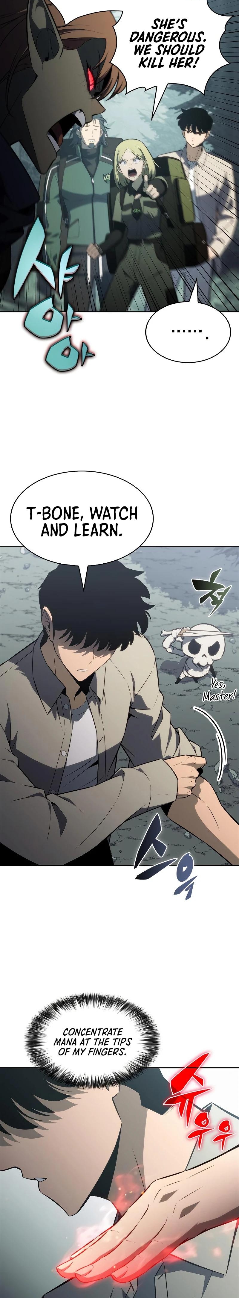 Read Solo Max Level Newbie Manga Online