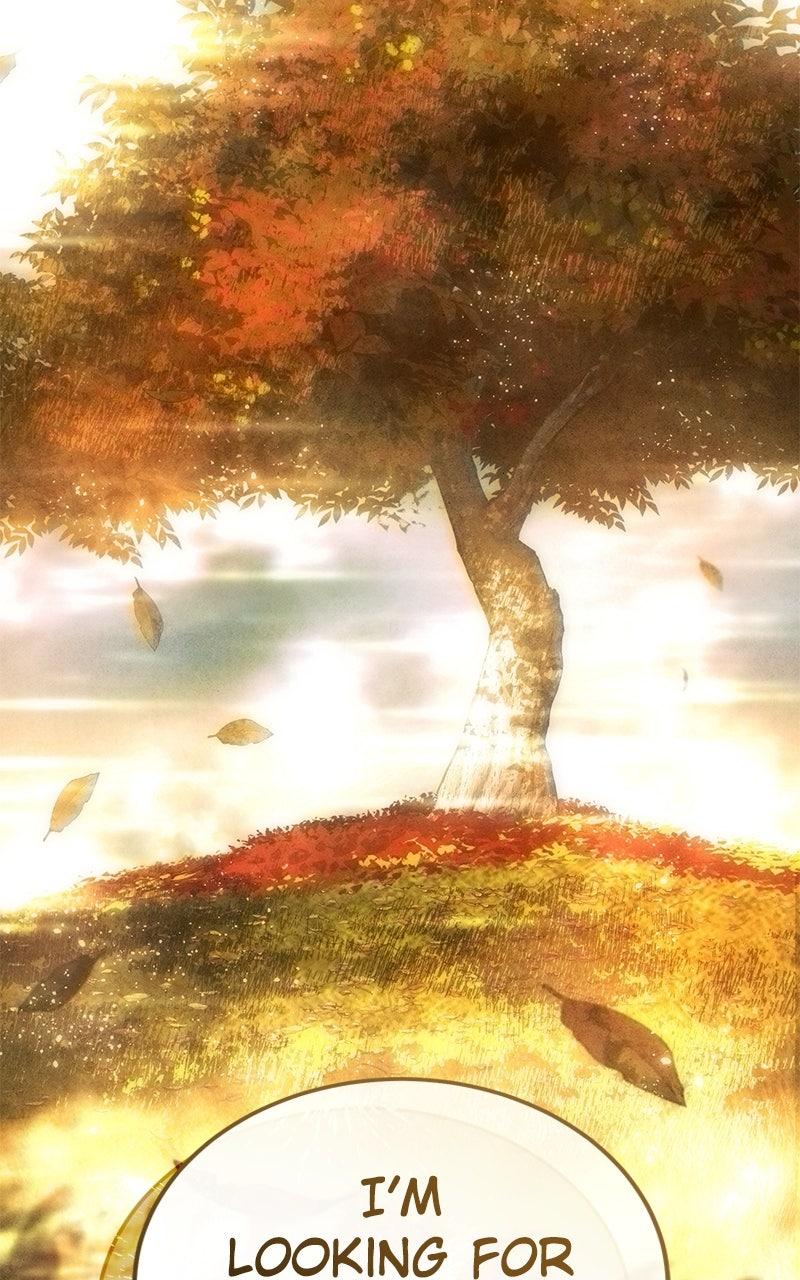 Read Star Embracing Swordmaster Manga Online