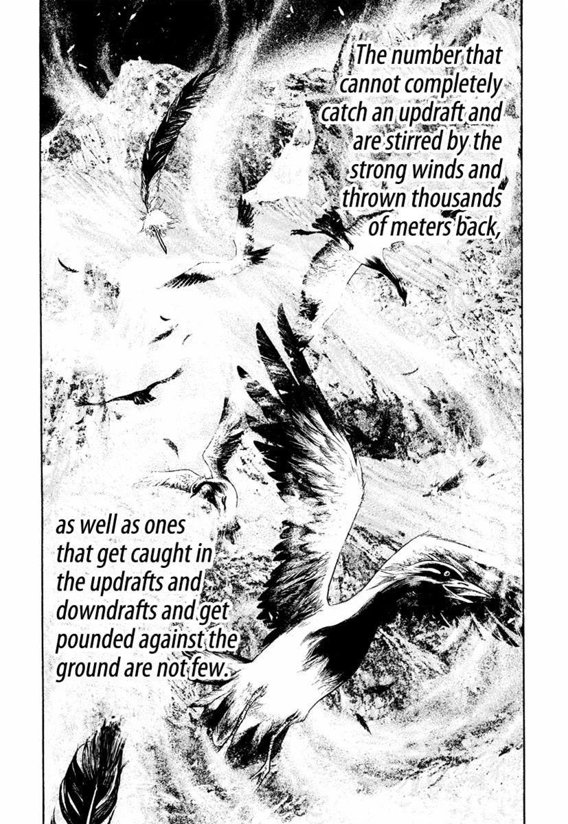 Read The Climber Manga Online