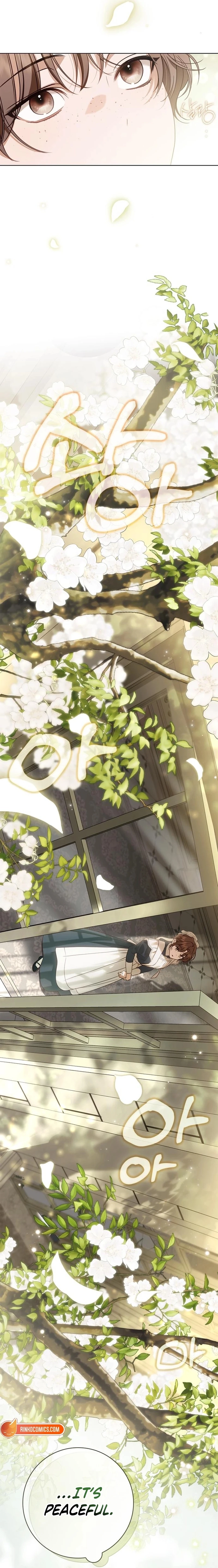 Read The Count's Secret Maid Manga Online