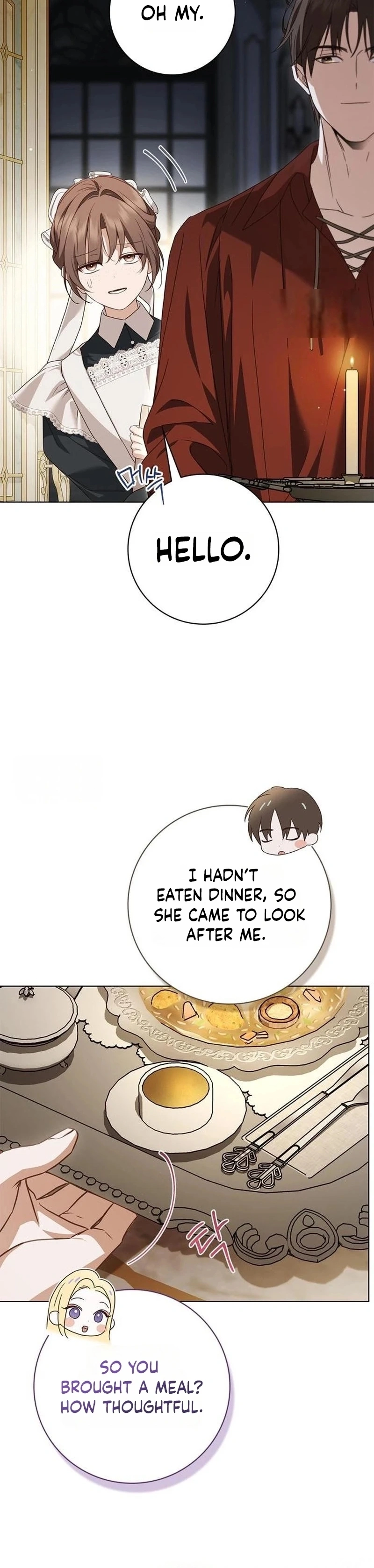 Read The Count's Secret Maid Manga Online