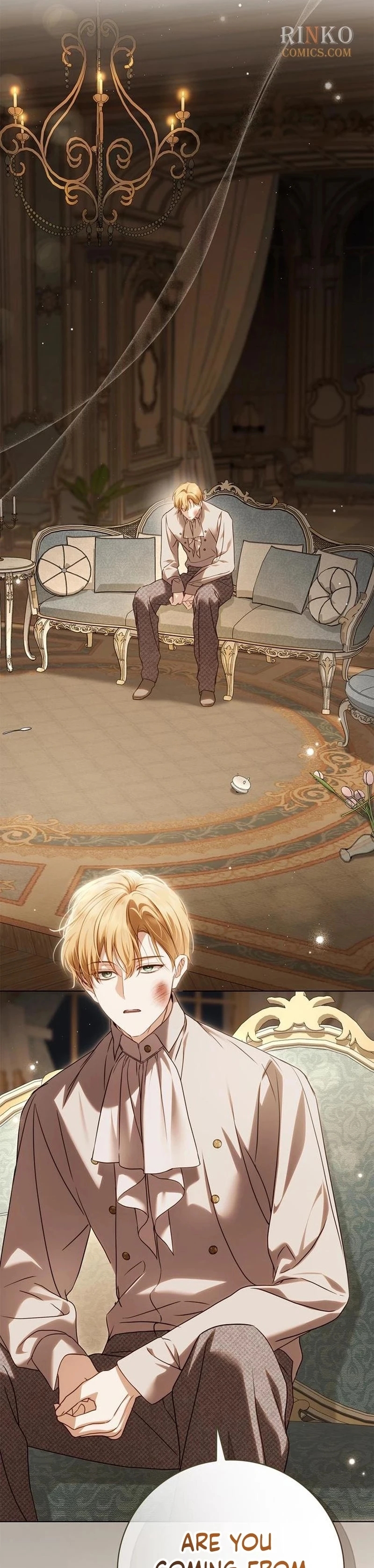 Read The Count's Secret Maid Manga Online