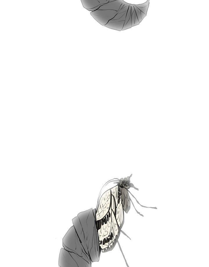 Read The Legend of the Northern Blade Manga Online