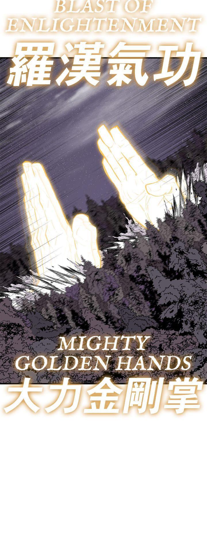 Read The Legend of the Northern Blade Manga Online