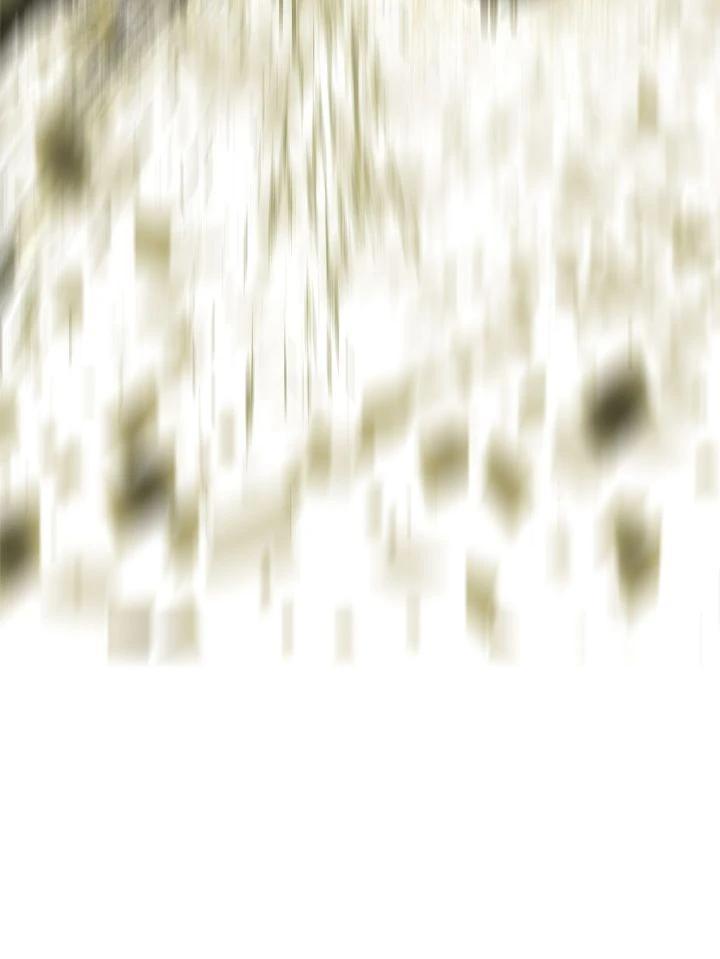 Read The Legend of the Northern Blade Manga Online