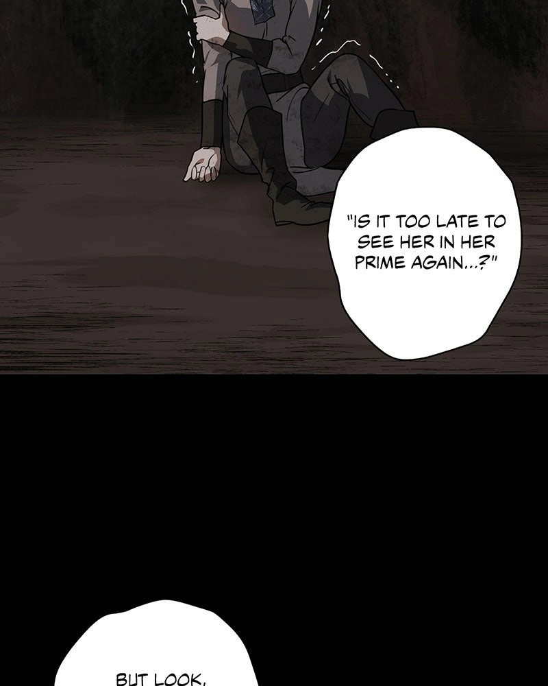 Read The Spark in Your Eyes Manga Online