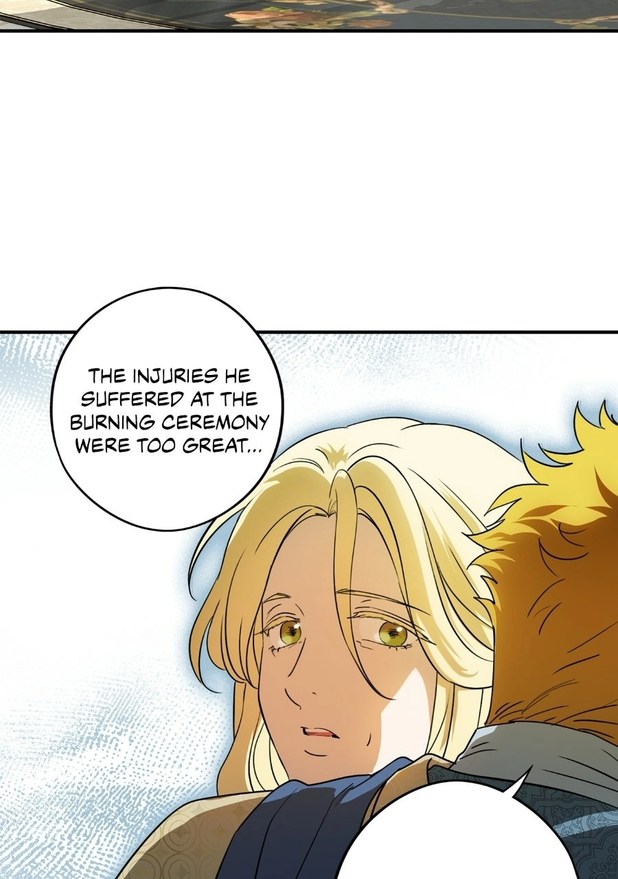 Read The Spark in Your Eyes Manga Online