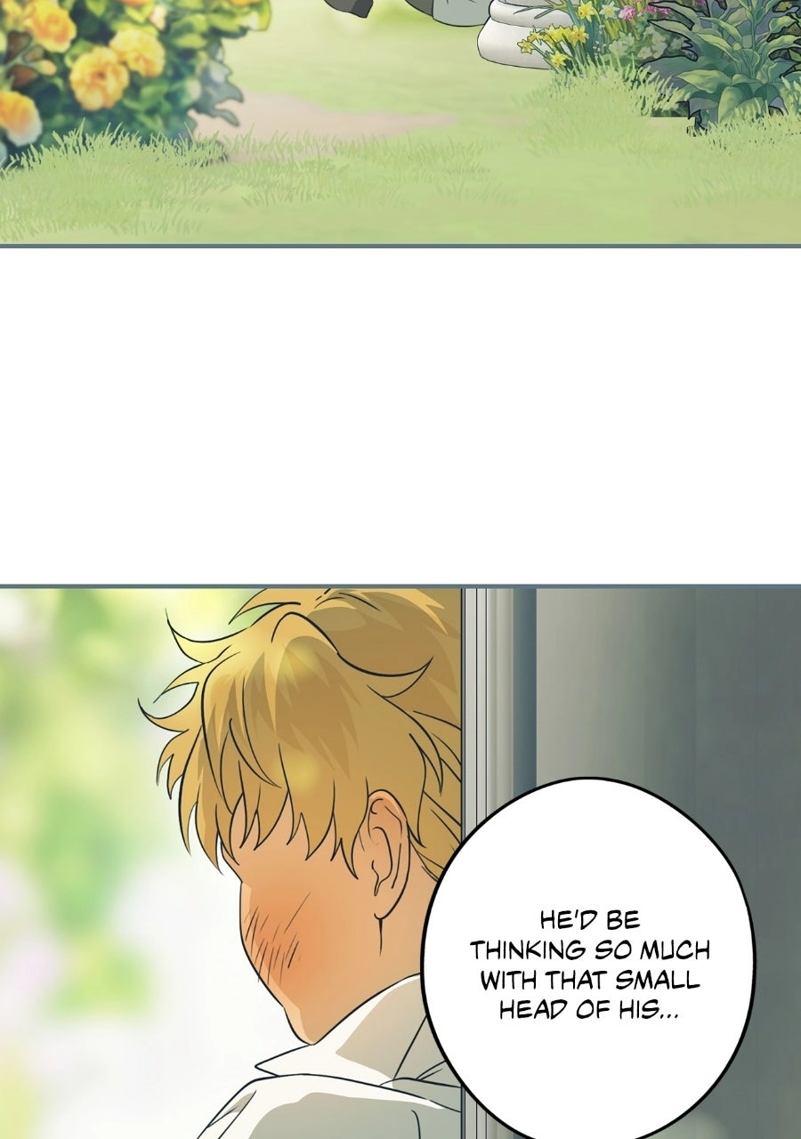 Read The Spark in Your Eyes Manga Online