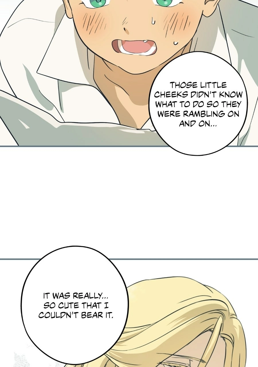 Read The Spark in Your Eyes Manga Online