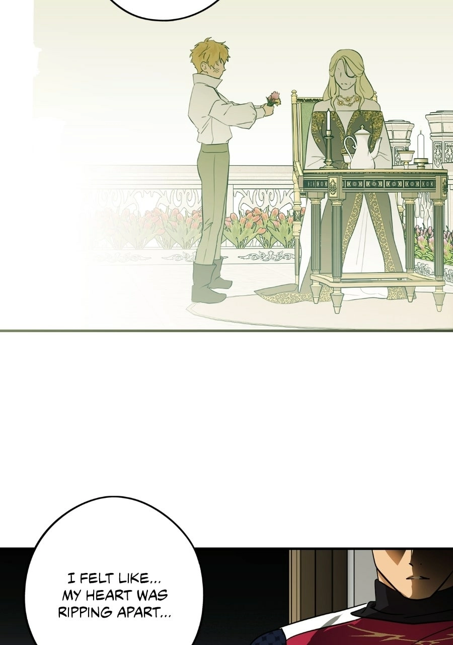 Read The Spark in Your Eyes Manga Online