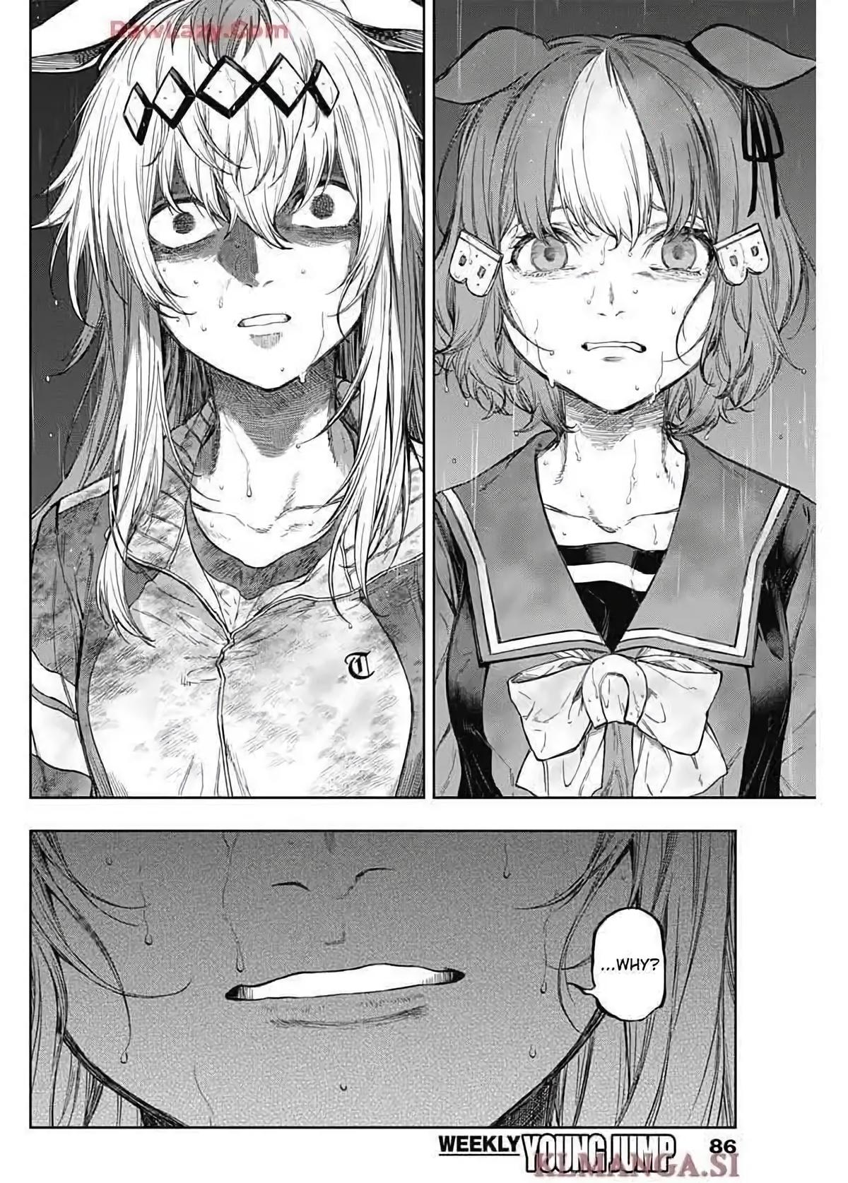 Read Uma Musume Cinderella Gray Manga Online