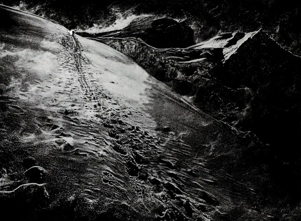 Read Kokou no Hito ES Manga Online