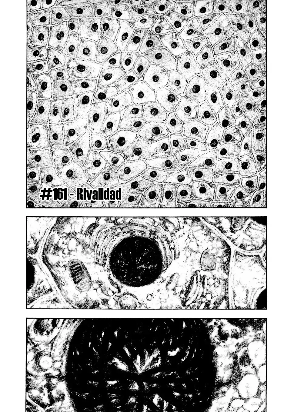 Read Kokou no Hito ES Manga Online