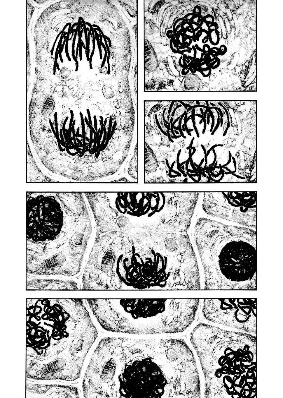 Read Kokou no Hito ES Manga Online