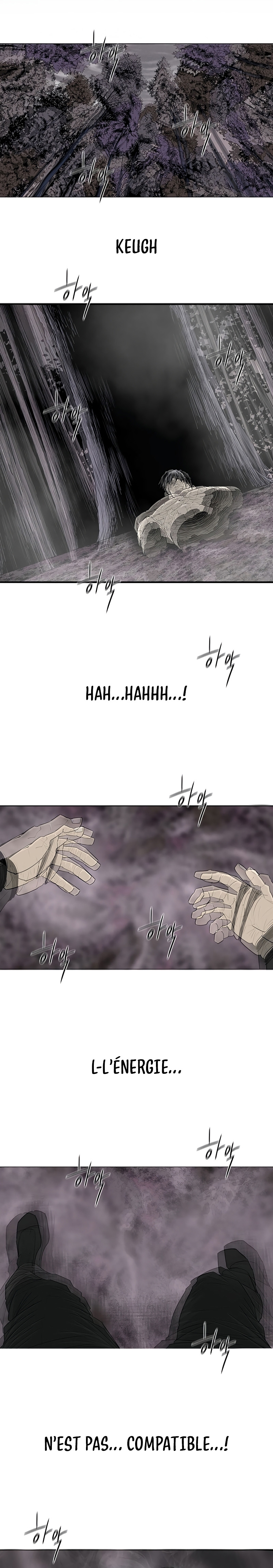 Read Legend of the Northern Blade FR Manga Online