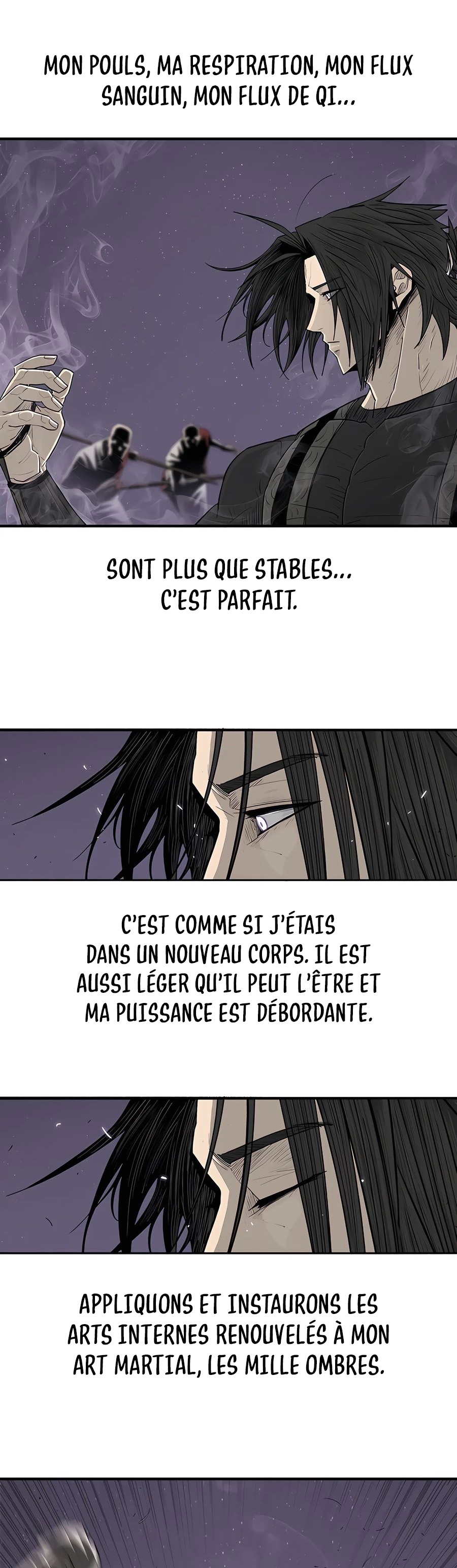 Read Legend of the Northern Blade FR Manga Online