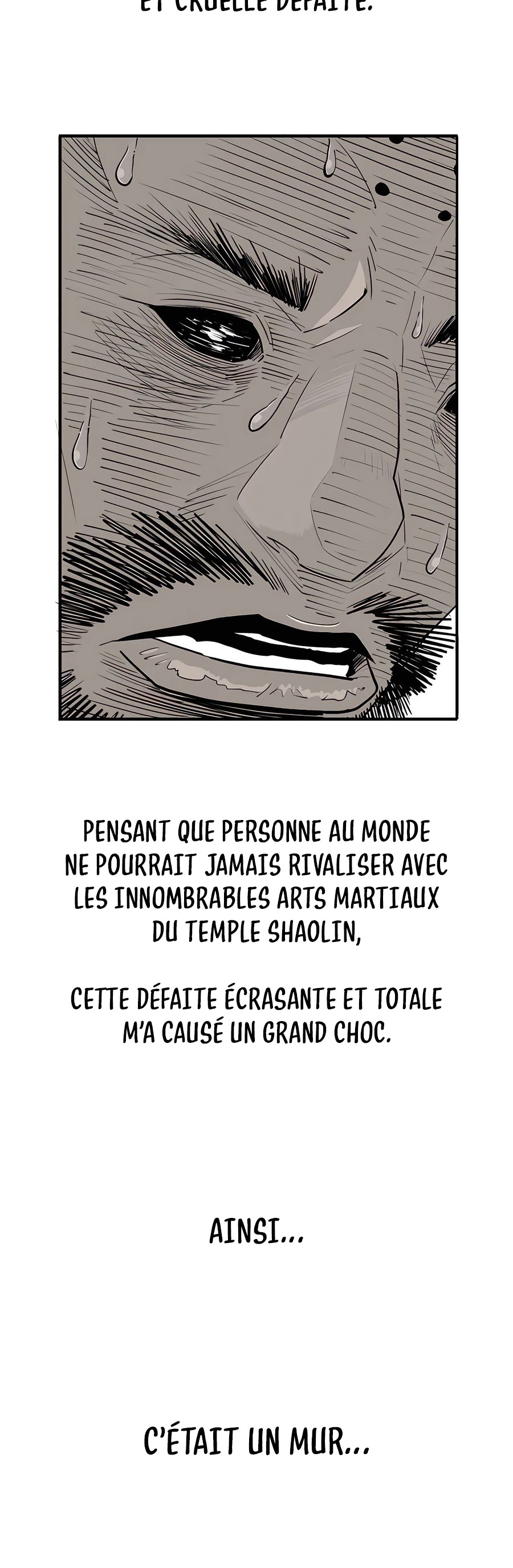 Read Legend of the Northern Blade FR Manga Online