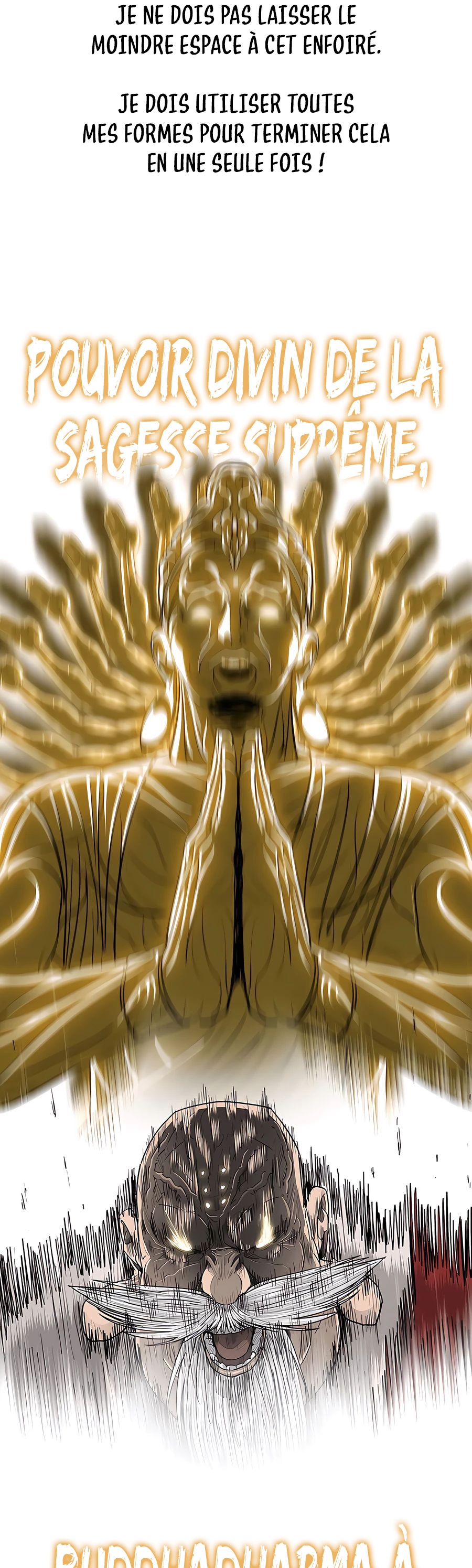 Read Legend of the Northern Blade FR Manga Online