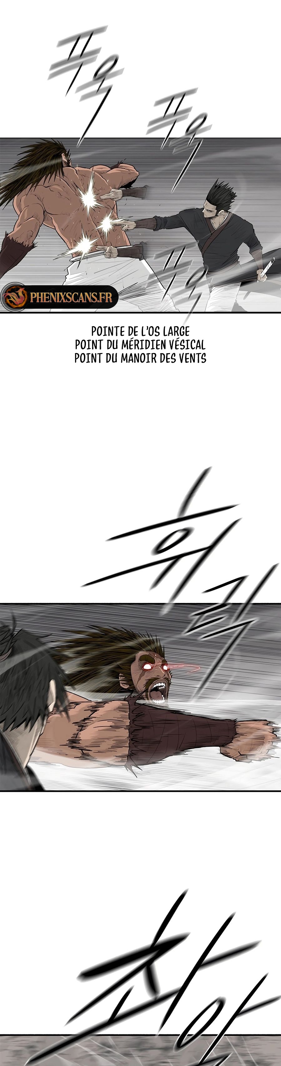 Read Legend of the Northern Blade FR Manga Online