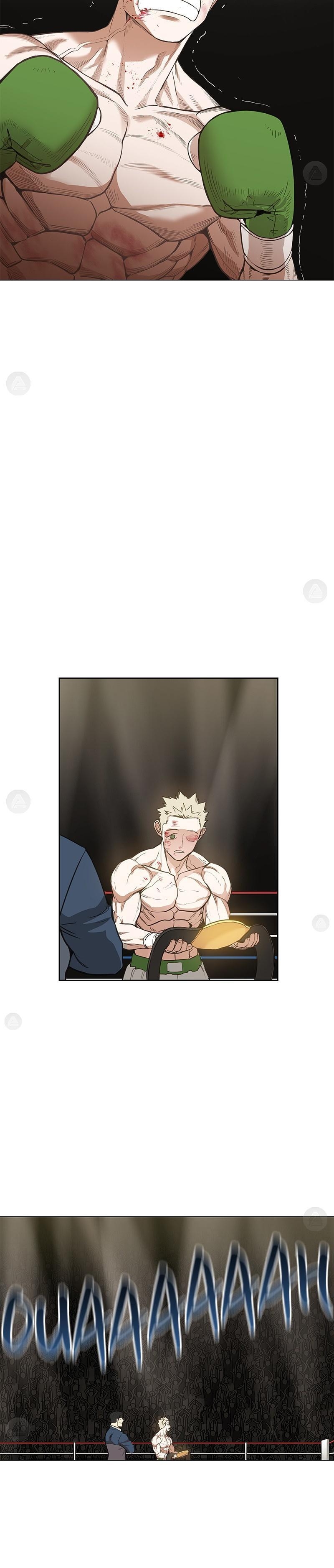 Read The Boxer FR Manga Online